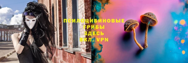 таблы Няндома