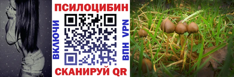 Псилоцибиновые грибы ЛСД  Руза 
